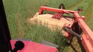 CaseIH 5140 pulling Kuhn FC 243 RTG Disc Mower Conditioner [upl. by Finn220]