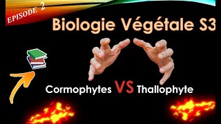 BIOLOGIE VEGETALE S3  EPISODE 2 THALOPHYTES VS CORMOPHYTES [upl. by Jessamine]