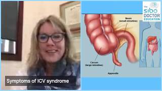 How to Release a Stuck Ileocecal Valve  Discussion with Dr Jacobi [upl. by Hsinam]