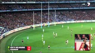 Elimination Final 2014  North Melbourne v Essendon Highlights [upl. by Busch689]