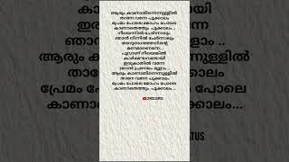 Aarum kanathe song lyrics 💕malayalam malayalamsonglyrics music whatsappstatus lyrics shorts [upl. by Bergh]