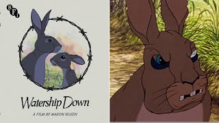 Watership Down 4K UHD Bluray Limited Edition review  BFI [upl. by Caswell]