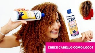 Champú de Caballo🙆‍♀️ Funciona para hacer Crecer el Pelo [upl. by Estrin]