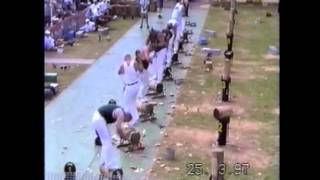 Sydney show woodchopping 1997 325mm underhand [upl. by Adnoral457]