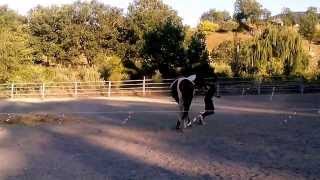 cadute da cavallo al galoppo  stuntman team Di Santo [upl. by Lucius]