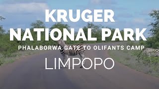 Limpopo Kruger National Park Phalaborwa gate to Olifants Camp [upl. by Keri337]