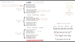 How to Analyse a Poem  Part 2 of 3  Life is Fine by Langston Hughes  Poetry [upl. by Nus]