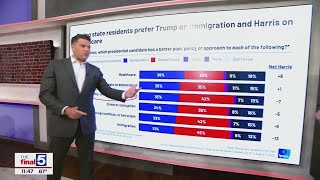 New polling shows voters vibes on Harris Trump and the issues [upl. by Ardnuaek]