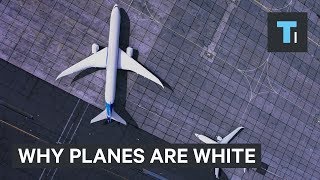 Why Most Planes Are White [upl. by Eam518]