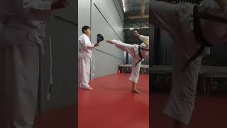 Mawashi geri karate [upl. by Balsam]