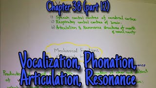 Vocalization phonation articulation resonance Chapter 38 part 12 Guyton and hall physiology [upl. by Mae]