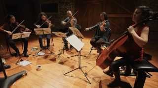 MOZART  BRAHMS quotString Quintetsquot by Quatuor Voce amp Lise Berthaud  Official Album Trailer [upl. by Nylesoy]