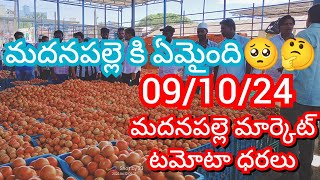 091024 Madanapalle Tomato Market price Today  Today Tomato Market Rate in Madanapalle today [upl. by Obau447]