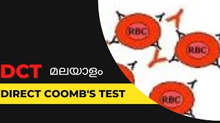 DCTDirect Coombs test മലയാളം [upl. by Norihs]