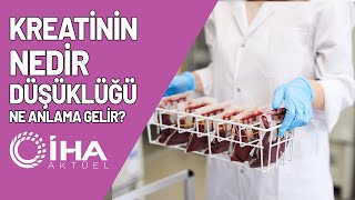 Kreatinin Nedir Düşüklüğü Ne Anlama Gelir [upl. by Jacquelynn]