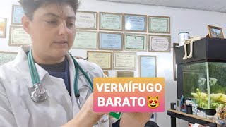 VERMÍFUGO BOM E BARATO PARA GATOS [upl. by Nedyah]