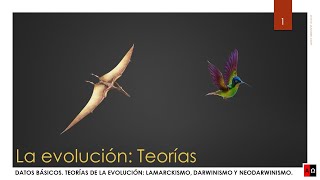 La evolución Teorías [upl. by Janyte]