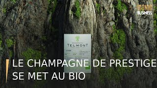 Le champagne de prestige se met au bio [upl. by Solita]