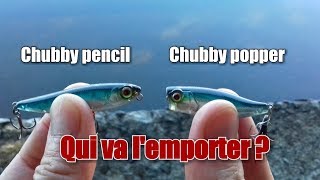 Session perches  stickbait VS popper [upl. by Akayas]