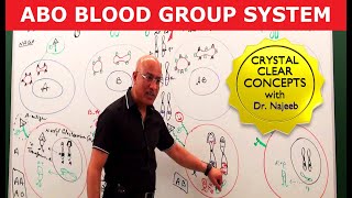 ABO Blood Group System  Blood Types amp ABO Antigens👨‍⚕️ [upl. by Ludovika]