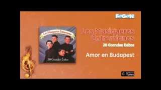 Los Musiqueros Entrerrianos  Amor en Budapest [upl. by Olocin]