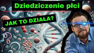 Dziedziczenie płci⚡ Dziedziczenie Daltonizmu i Hemofilii🤓 Dziedziczenie grup krwi🔥 genetyka klasa 8 [upl. by Eneleahs]