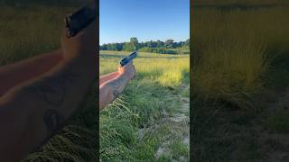 Tisas 1911a1 Service in 45 acp 1911 shorts 45acp rangeday guns shooting tisas fyp [upl. by Adelice946]