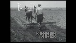 Cotton Dixies Greatest Crop Part 1 of 2 1920 Silent [upl. by Glass]