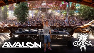 Avalon  Ozora Festival 2024 Full Set Movie [upl. by Haff]