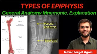 General Anatomy Types of Epiphysis  Mnemonic amp Explanation  Anatomy [upl. by Thirion669]