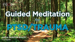 Safe Place Meditation for PTSD and Trauma  The Nature Reserve [upl. by Spaulding301]