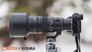 Unleash Unparalleled Precision with the Sigma 500mm F56 DG DN OS Sports Lens  Nuzira photography [upl. by Venn]