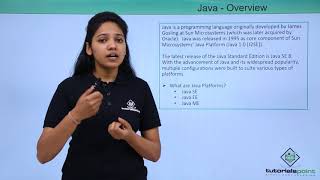 Java  Overview [upl. by Ebneter]