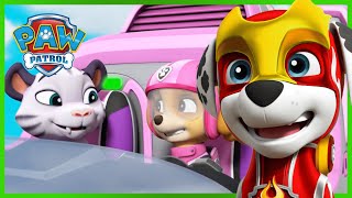 Pups rescue Tracker and the Monkeys in the Jungle  PAW Patrol  Cartoons for Kids Compilation [upl. by Nnaarual791]