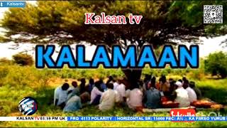 Wararka Telefishinka Kalsan Tv BY Maxamed Salaad 18082024 [upl. by Larkin807]