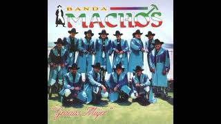 Mano a mano banda maguey vs banda machos [upl. by Bree]