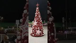 Árbol de navidad en el metro toreo en CDMX [upl. by Renault]