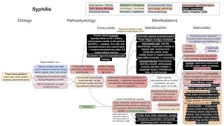 Syphilis mechanism of disease [upl. by Pendleton675]