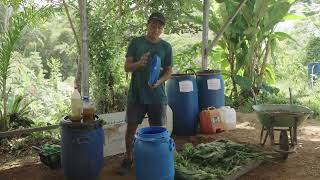 Biofermento NPK Abono líquido fermentado rico en Nitrógeno Fósforo y Potasio [upl. by Arrad]