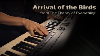 Arrival of the Birds  The Cinematic Orchestra from The Theory of Everything \\ Jacobs Piano [upl. by Ahseik]