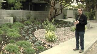 MidCentury Modern Landscape Design [upl. by Jannelle475]