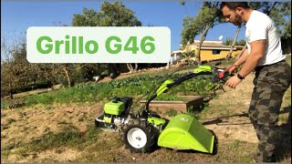 Fresatura con motocoltivatore Grillo G46 con fresa controrotante [upl. by Pacifica]