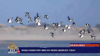 World Migratory Bird Day is being observed today [upl. by Levram229]