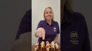 This Little Piggy Makaton [upl. by Daniella]