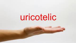 How to Pronounce uricotelic  American English [upl. by Gratiana]