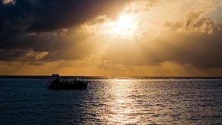 Jamaica  Sandals Dunns River  April 2024 [upl. by Nnylharas454]