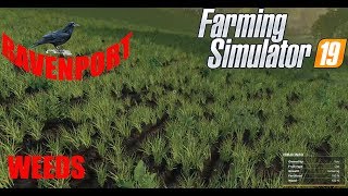 Ravenport Ep 24 Farming SImulator 19 Weeds everywhere [upl. by Ahnavas]