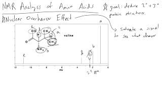 NMR Nuclear Overhauser Effect for Protein Structure Determination [upl. by Robb]