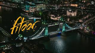 Fitoor  Garry Sandhu  Latest Video Song 2021  Songs and music [upl. by Glassman]