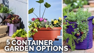 5 Container Gardening Options for Apartment Gardeners [upl. by Nnav302]